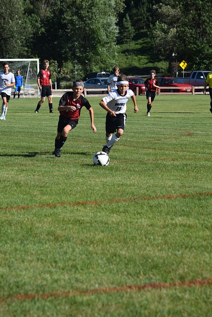 多特蒙德 多特蒙德