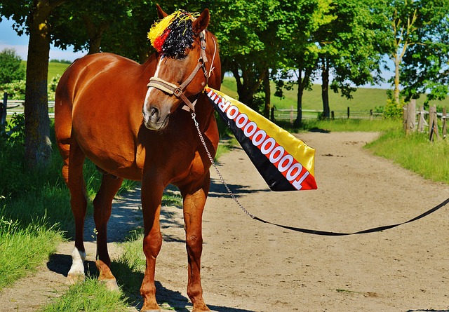 甜品市场做 甜品市场做