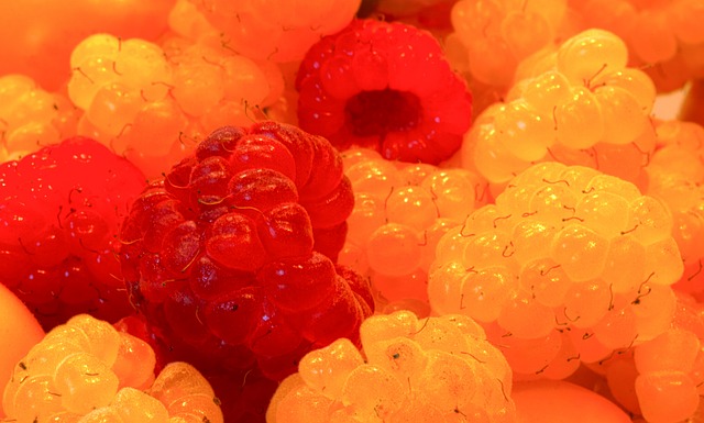 輝煌成績 輝煌成績