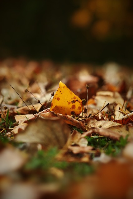 性的管理经 性的管理经