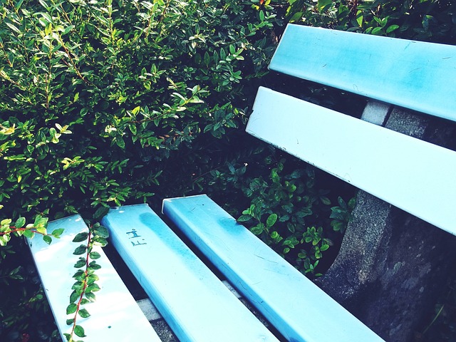 以吸引更多 以吸引更多