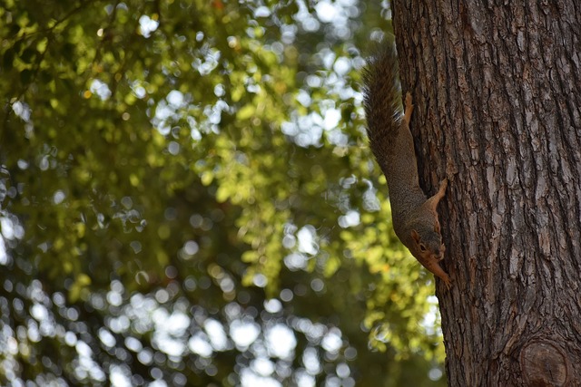 步的推广 步的推广